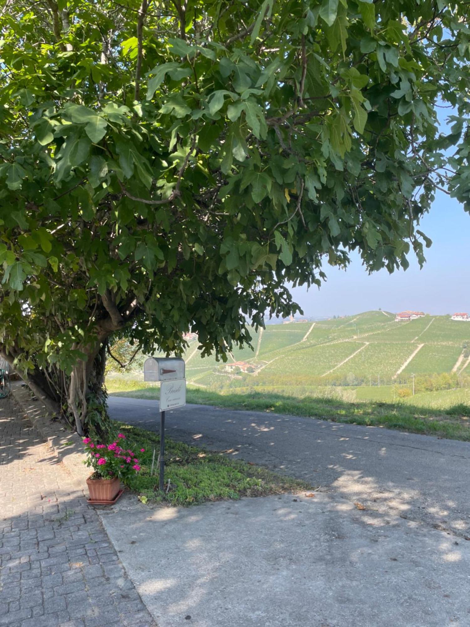 Brisile Casavacanze Barbaresco Buitenkant foto